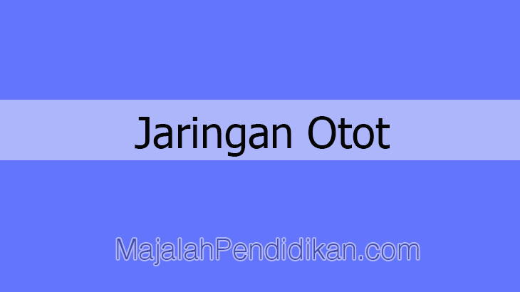 Jaringan otot